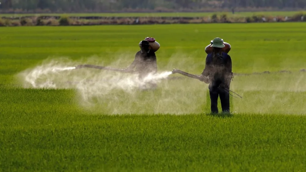 EUA ampliam revisão científica do glifosato e nova avaliação de saúde sai ainda em 2026