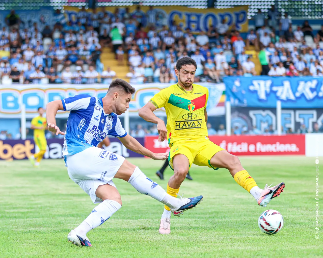 Paysandu x Brusque: prováveis escalações e onde assistir ao jogo pela Série B