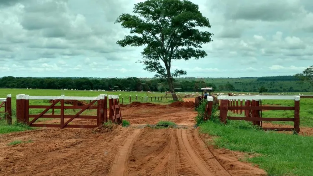ITR 2026: produtor tem até 30 de setembro para declarar; confira as novas regras
