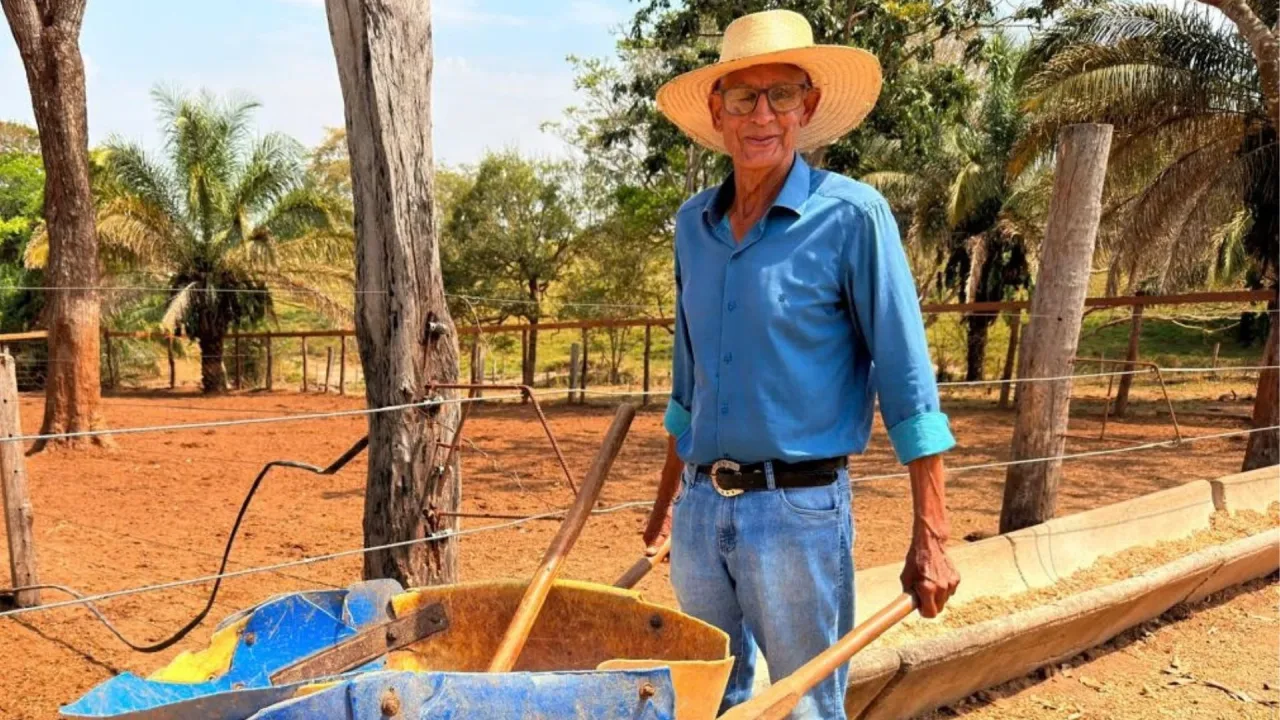 Aos 81 anos, pecuarista usa carriola para tratar bois em Rondônia; veja a história