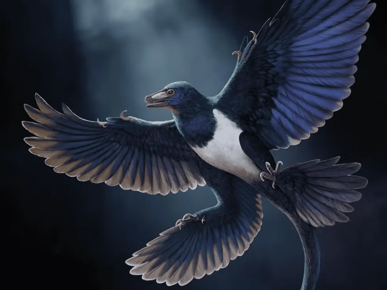 Novo dinossauro com penas pode mudar o que sabemos sobre a origem do voo