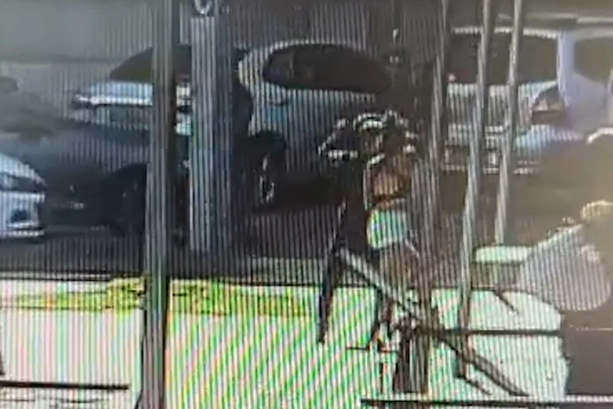 Moradora de rua esfaqueia rival com garrafa quebrada no coração de Brasília