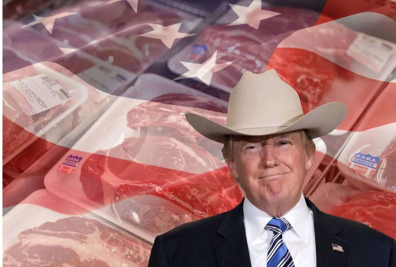 Carne bovina em alta: boi dispara nos EUA mesmo após Trump abrir importações; escassez volta a mandar no mercado