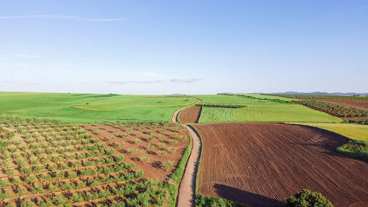 Fundo prepara R$ 750 milhões para comprar terras e dívidas em meio à crise do agro