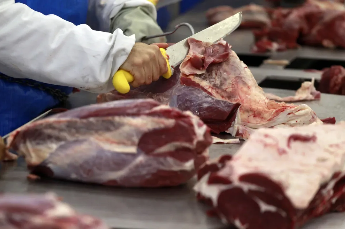 Exportações do agro crescem 11,4% em agosto, puxadas por soja e café