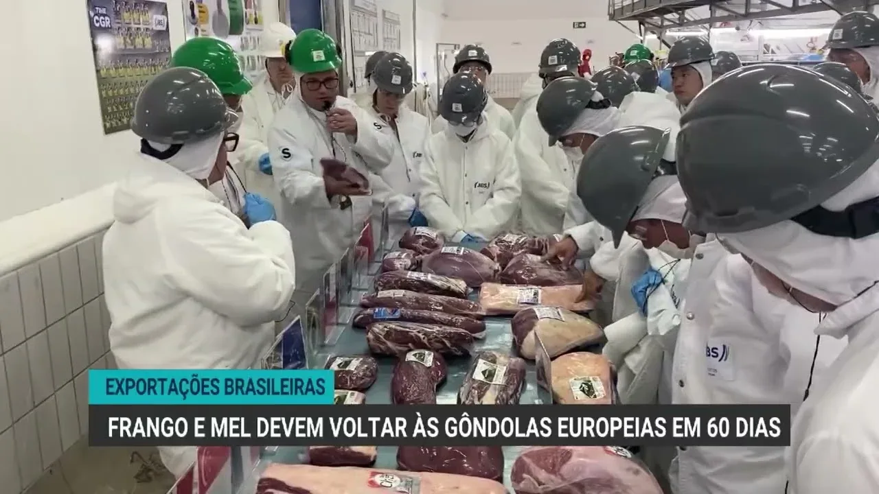 Frango e mel brasileiros devem retornar à União Europeia em 60 dias