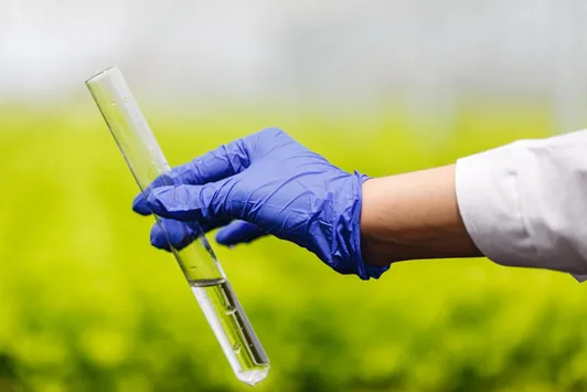 Brasil encerra 1º semestre com 46 milhões dehectares tratados por bioinsumos, alta de 18,3%
