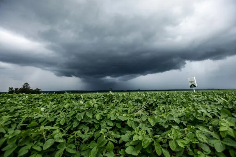Primavera começa com chuvas acima da média no Centro-Sul e abaixo da média em partes do Norte e Nordeste