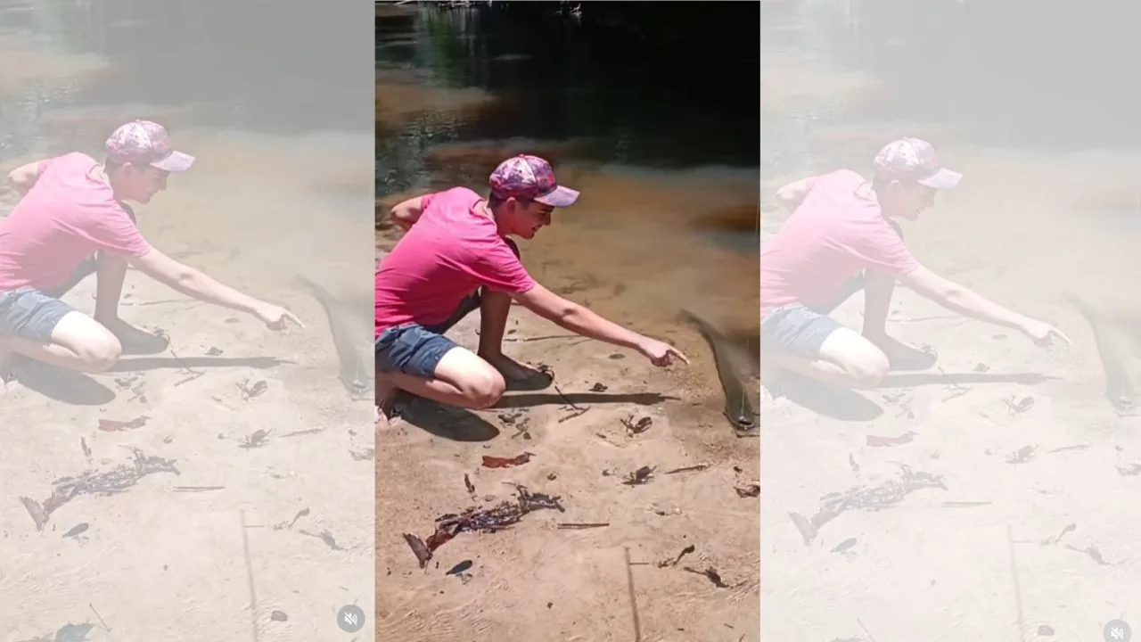 Pescador toca em peixe elétrico para sentir choque em vídeo viral; assista