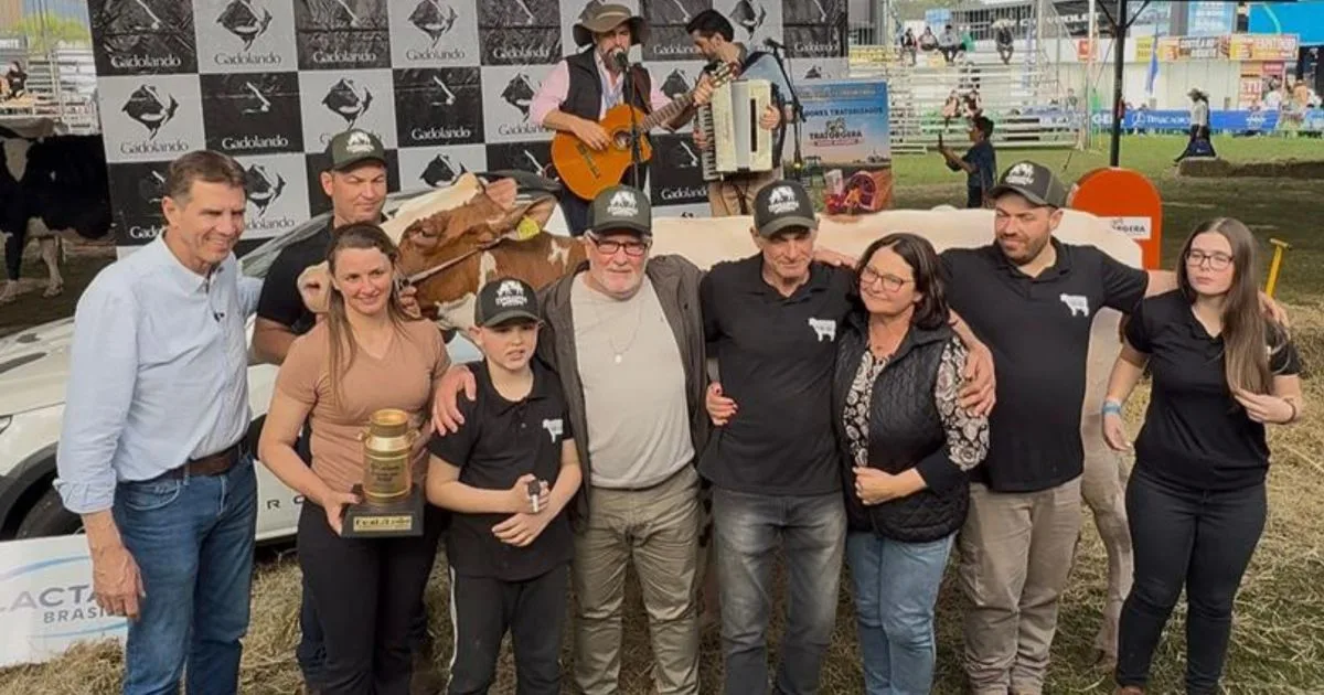 Granja Ferraboli domina o Exceleite e consagra vaca Suprema no Sul