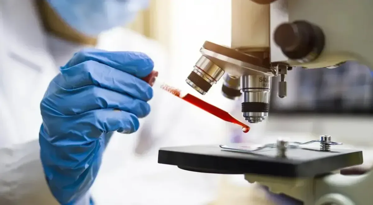 Pets fortalecem o nosso sistema imunológico, dizem cientistas