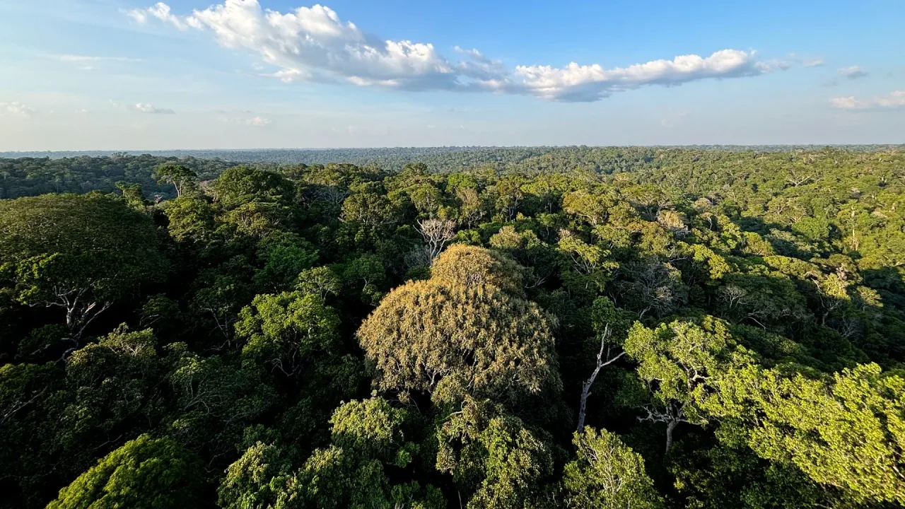 Expedição investiga biodiversidade no alto da Amazônia