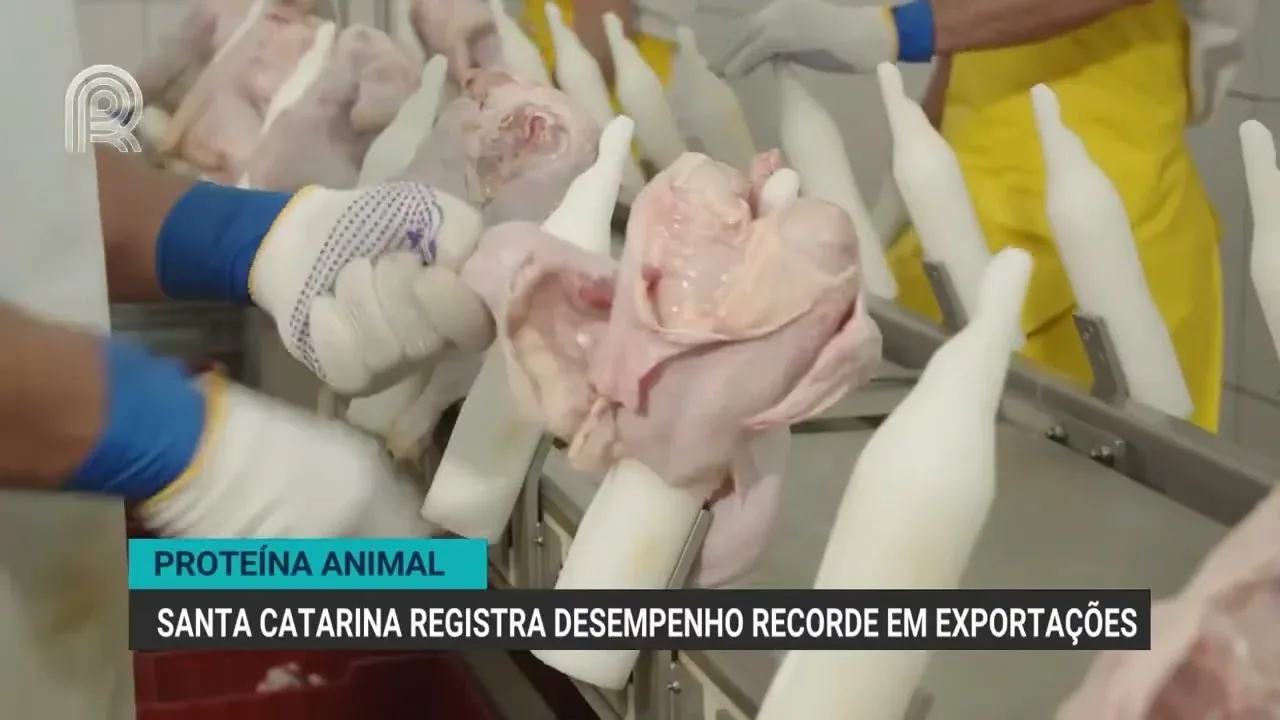 Santa Catarina registra recorde histórico nas exportações de carnes