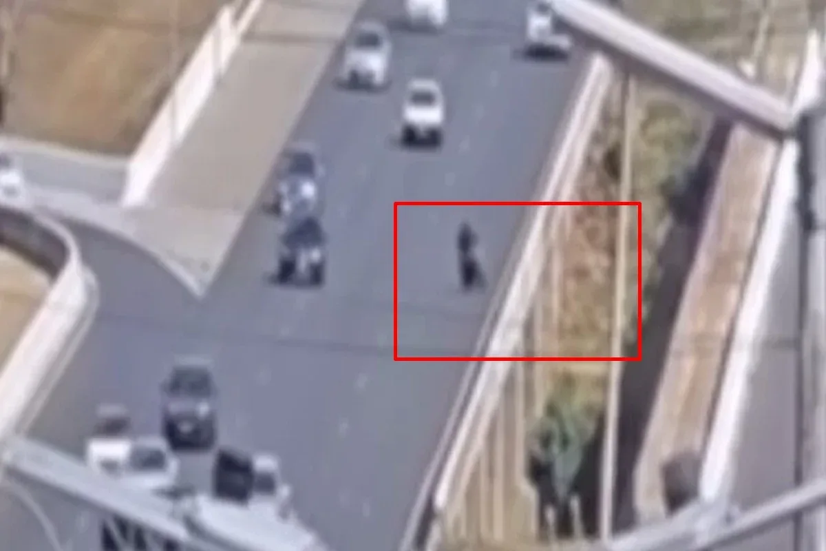 Menino que caiu no Lago Paranoá de moto junto com o pai deixa hospital