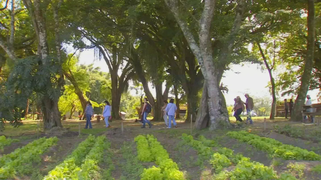 Região de Itapetininga promove contato com a natureza através do turismo rural