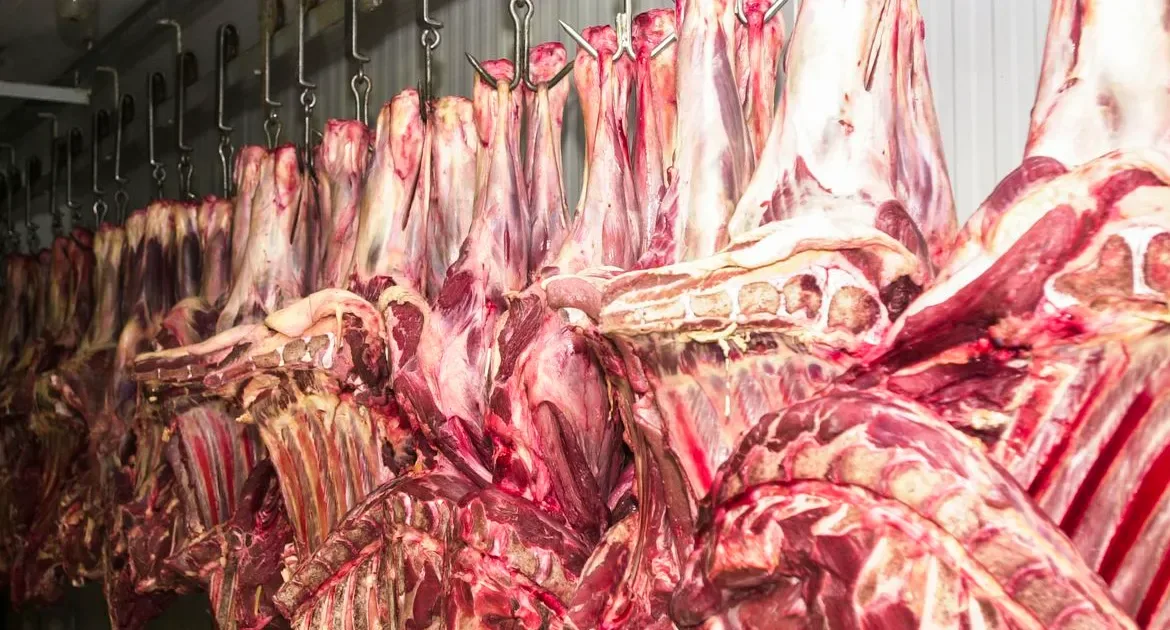 Açougueiro é condenado no Iraque por vender carne de porco em cidade sagrada