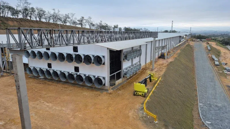 Mantiqueira anuncia investimentos para elevar em 50% sua produção anual de ovos