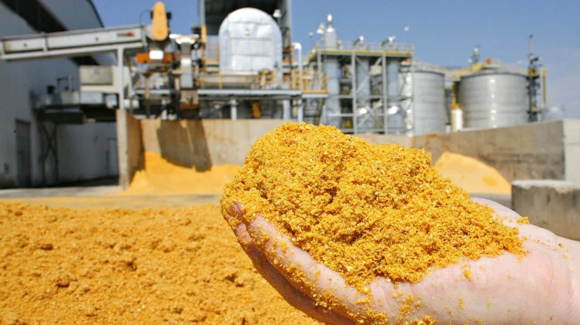 Produção de DDG deve disparar no Brasil e pode superar 15 milhões de toneladas até 2030