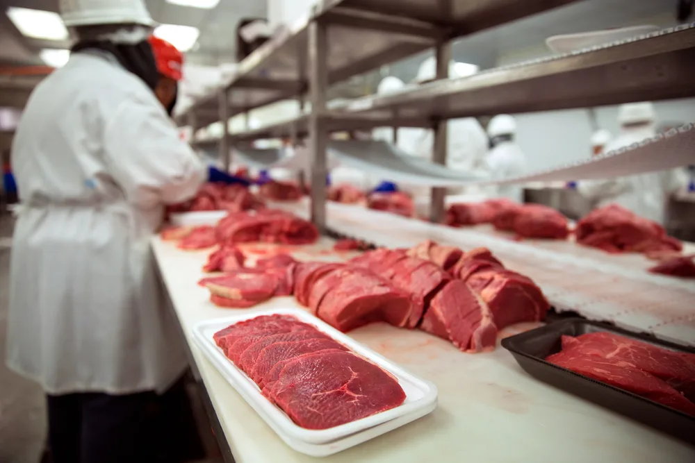Inteligência Artificial busca bactérias capazes de manter carne bovina vermelha por mais tempo