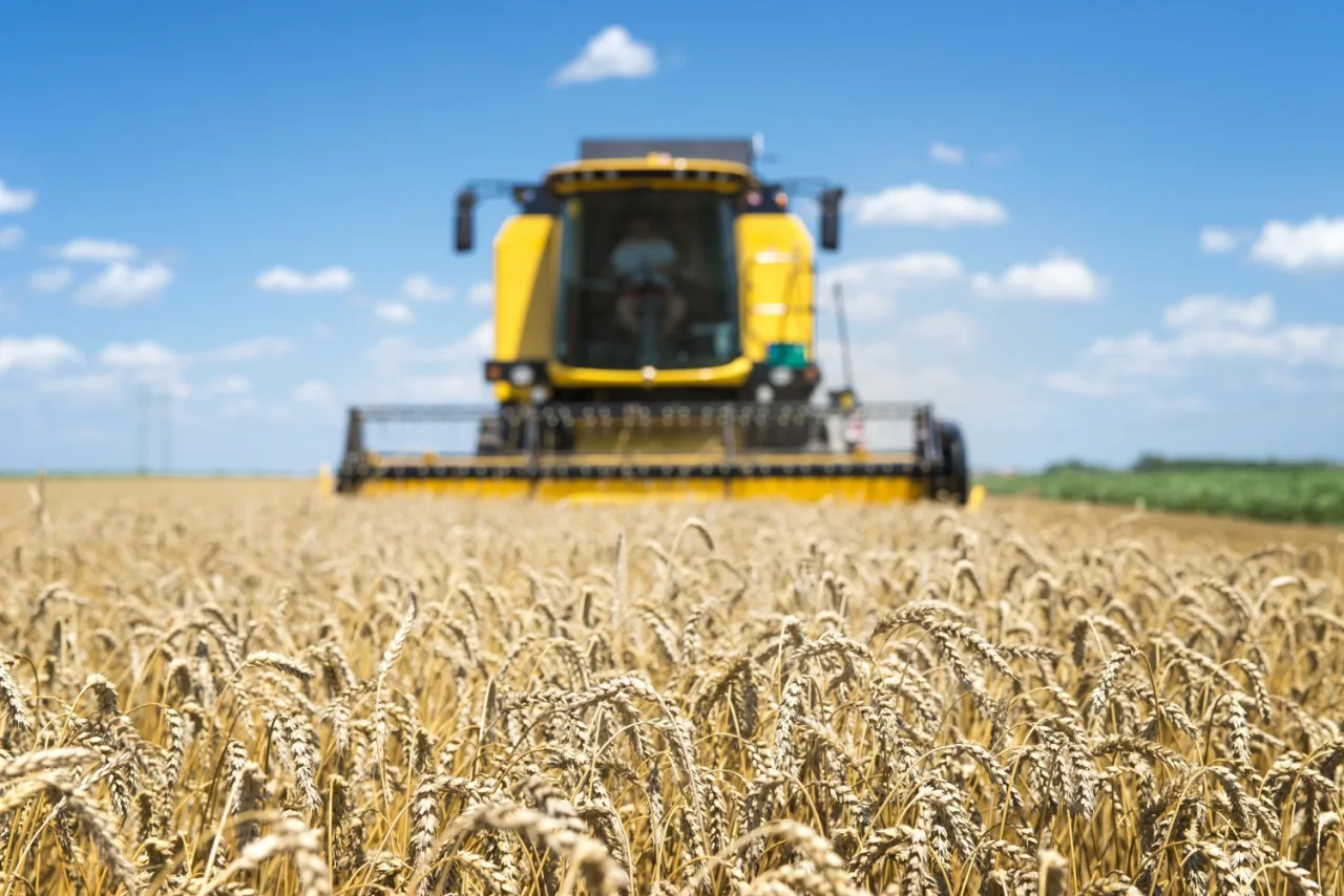 Deral: trigo colhido no PR vai a 62%; plantio de soja sobe a 28% e milho a 72%