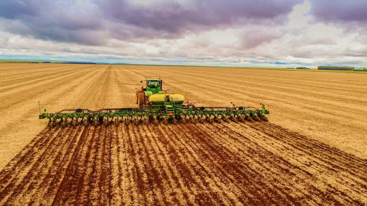 Plantio de soja no Brasil alcança 1,2% da área, diz AgRural