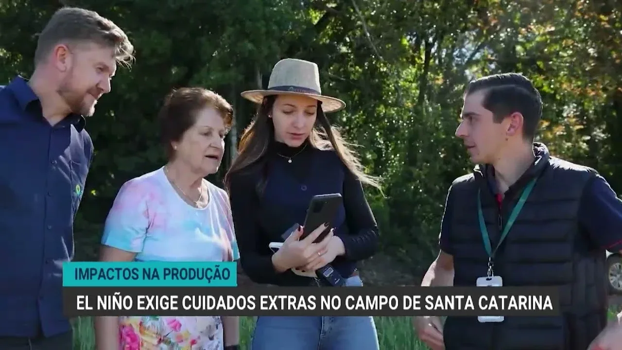 Produtores de Santa Catarina adotam terraceamento contra El Niño