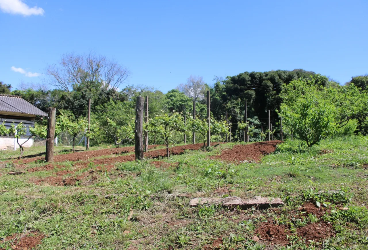 Produtores rurais têm menos de uma semana para entrega da declaração do Imposto Territorial Rural
