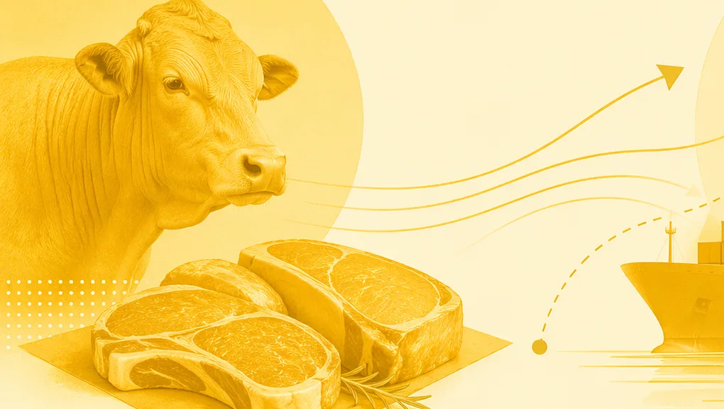 CNA pede avaliação de mecanismo comercial após UE barrar carnes e mel