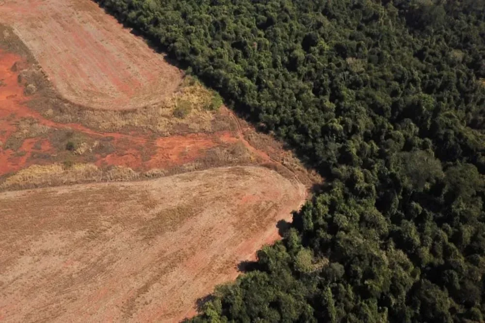 Mortes por desnutrição caem 75,7% na Terra Indígena Yanomami