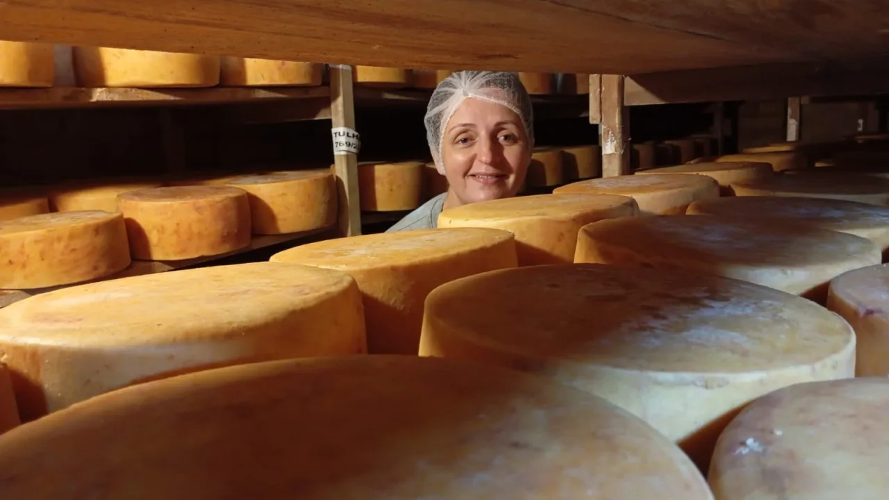 Para não vender vacas, produtora rural cria queijaria premiada que emprega toda a família