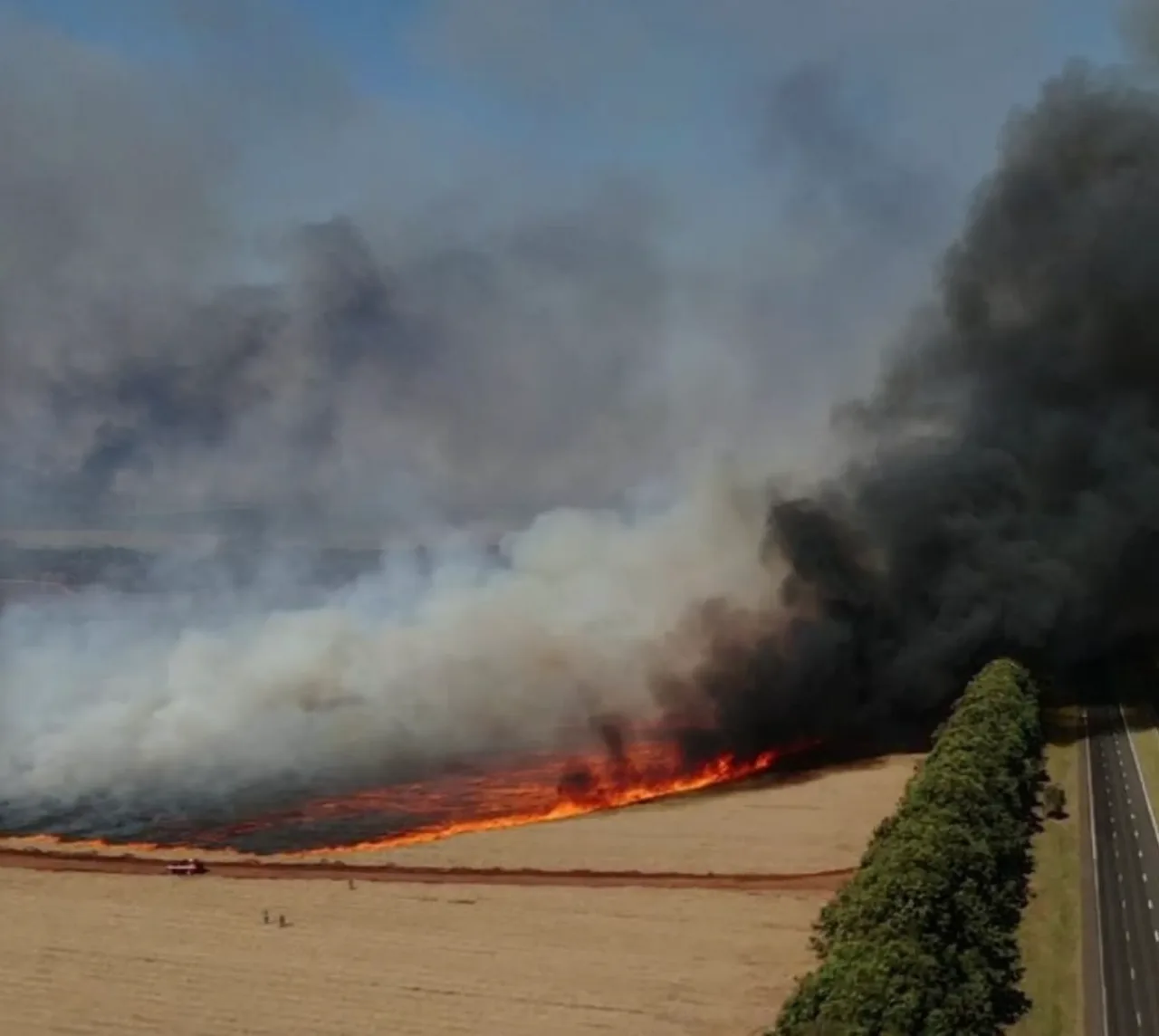 Saiba como barrar o avanço de incêndios em propriedades rurais
