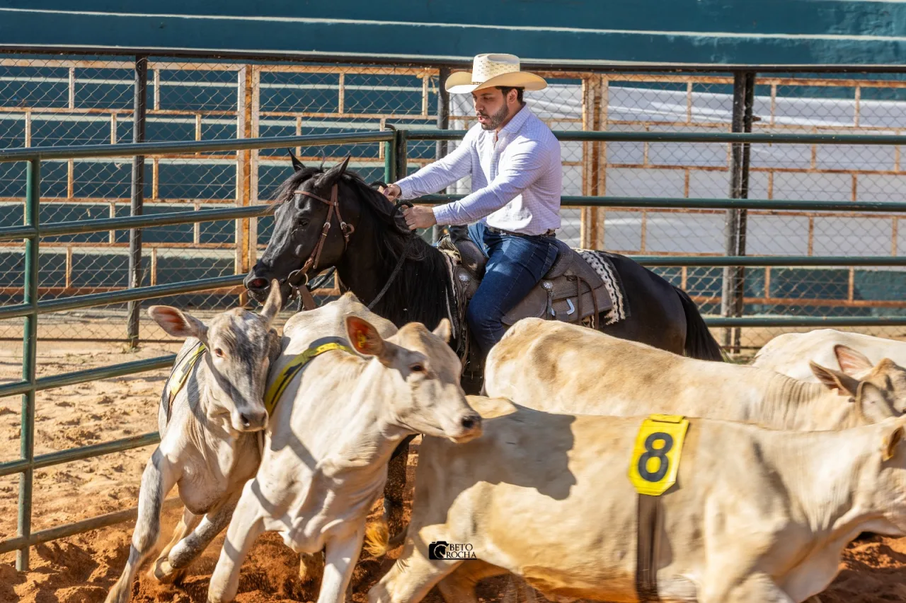 Murilo Huff estreia no Ranch Sorting e aposta em nova paixão pelo universo equestre com cavalo próprio