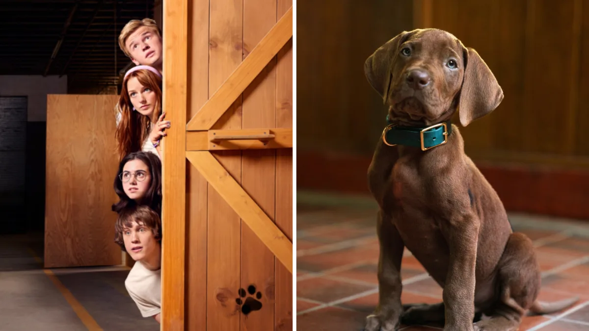 Série “Scooby-Doo: A Origem” tem gravações encerradas, anuncia Netflix