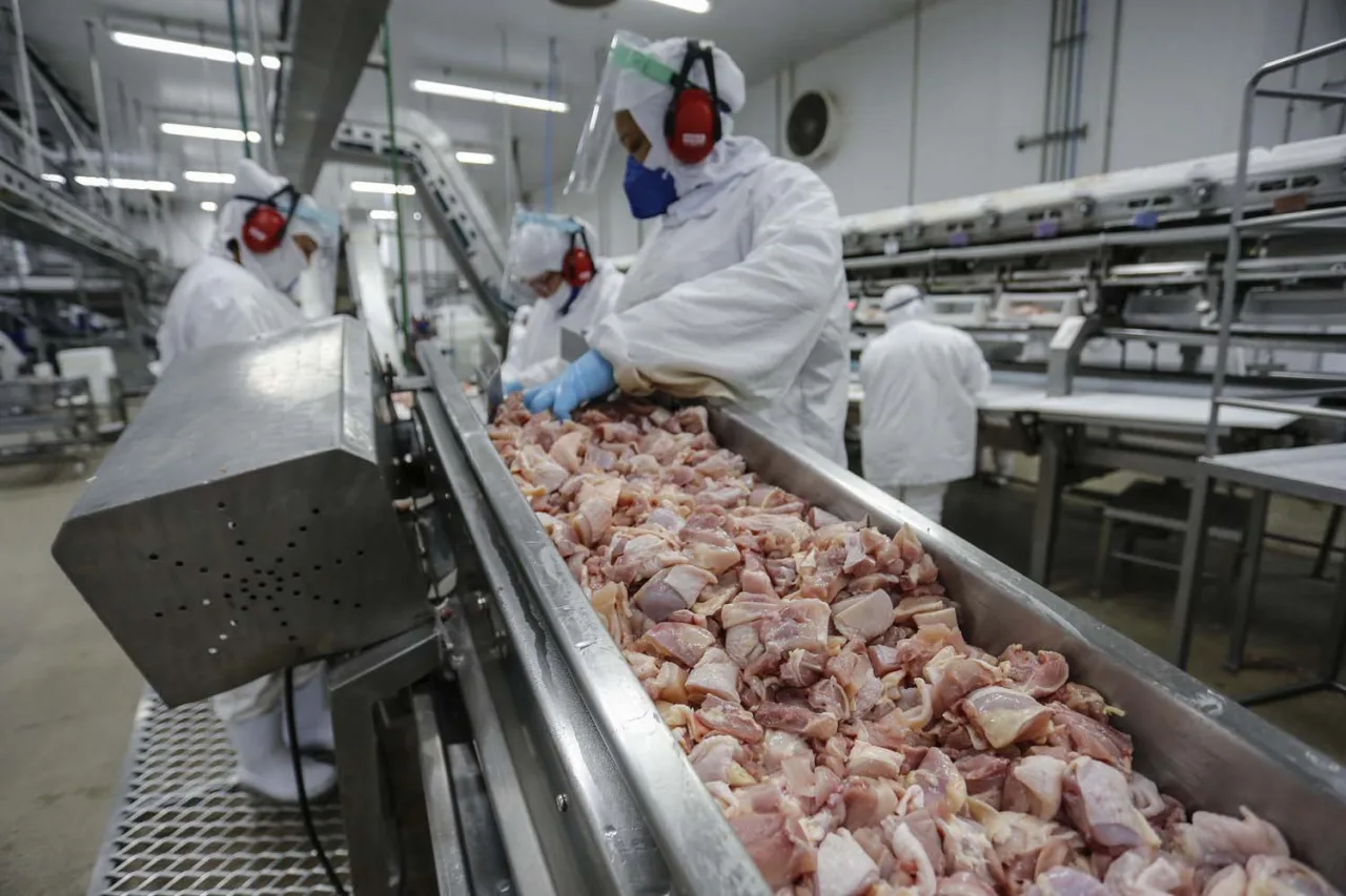 ABPA: importador europeu de frango antecipa compras antes de restrição ao Brasil