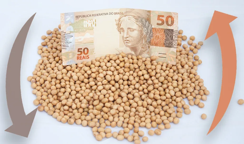 Preço da soja no mercado disponível e futuro ficam em baixa; confira as cotações