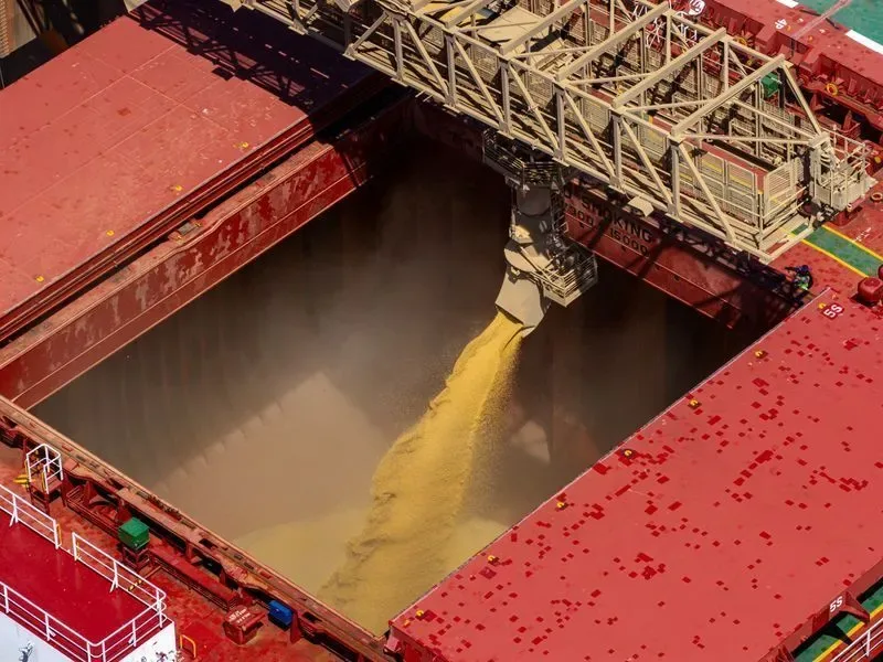 Margens de esmagamento de soja na China permanecem negativas