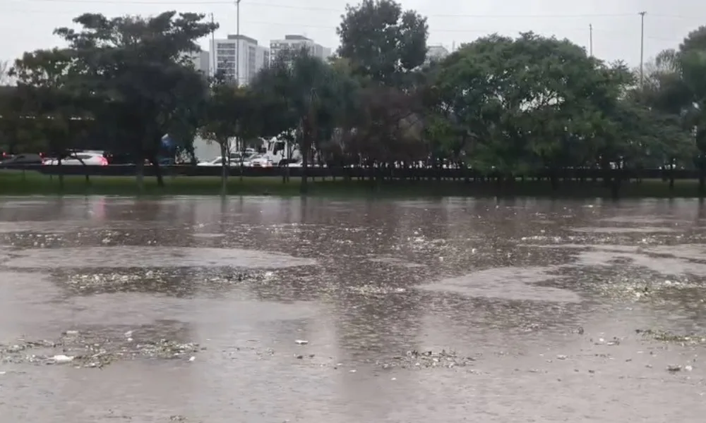 Após fortes chuvas, Rio Tietê sobe e fica perto de transbordar em SP; veja vídeo