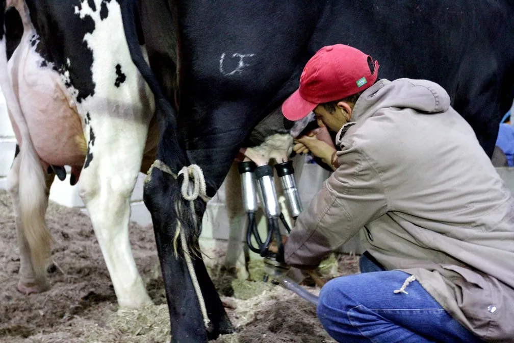 Mais de 55 mil produtores deixaram a pecuária leiteira no Rio Grande do Sul nos últimos 10 anos