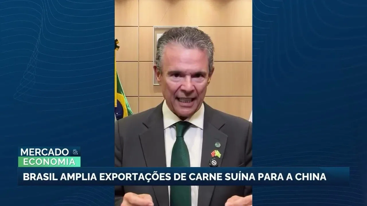 Brasil e China assinam protocolo que amplia exportações de carne suína