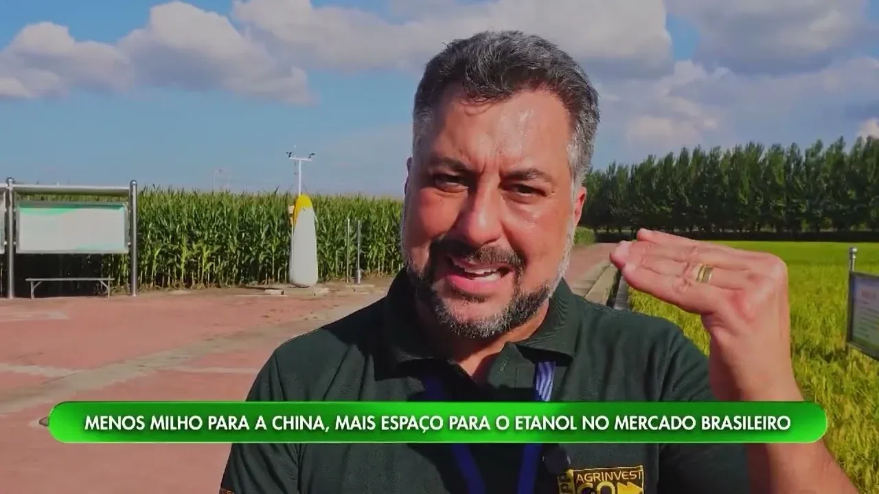 Brasil busca alternativas para o milho com avanço da produção chinesa