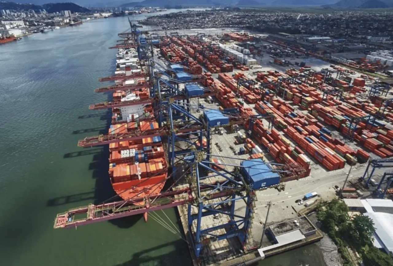 Cade vai rever manobra que permite MSC e Maersk disputarem Tecon 10