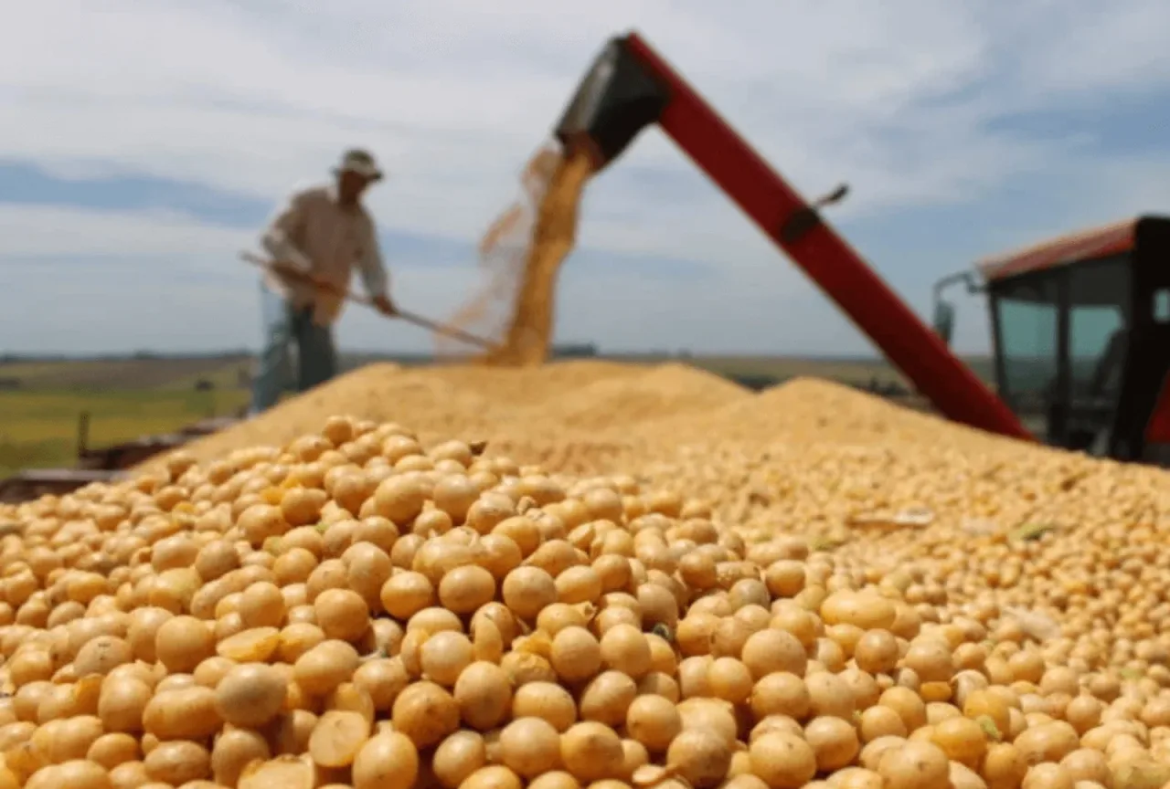 Agricultura brasileira alcançou R$ 927 bi em produção em 2025