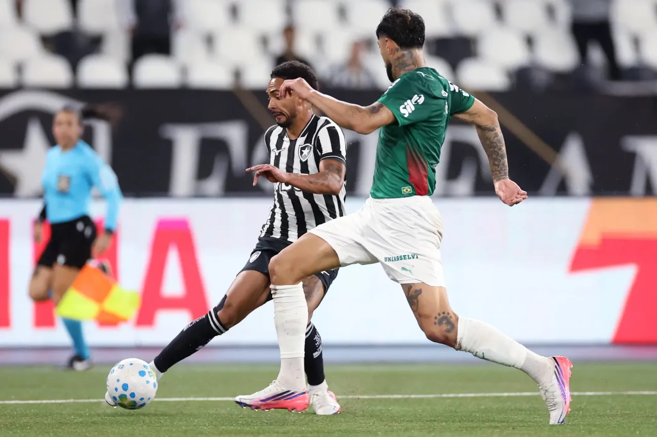 Veja fotos do duelo entre Botafogo e Palmeiras pelo Brasileiro