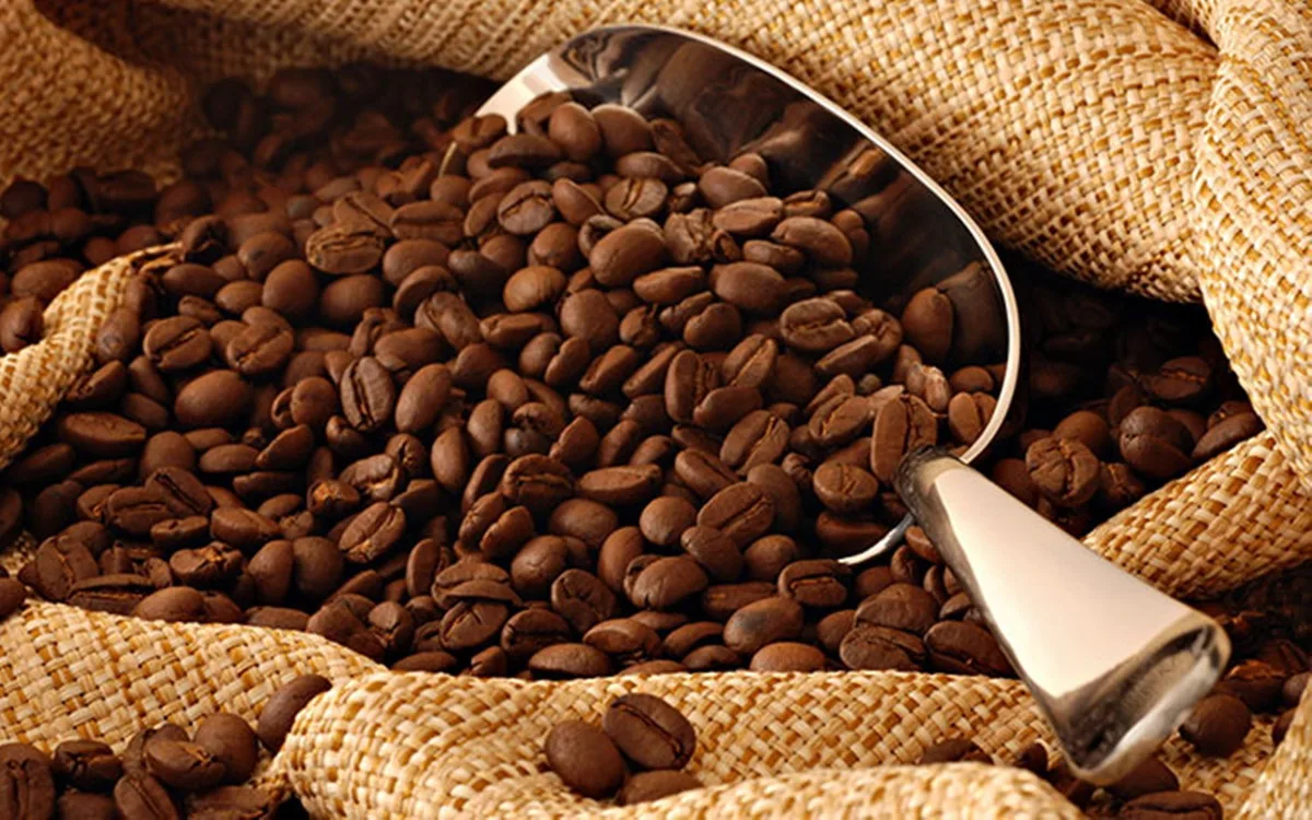 Exportações de café atingem recorde para agosto