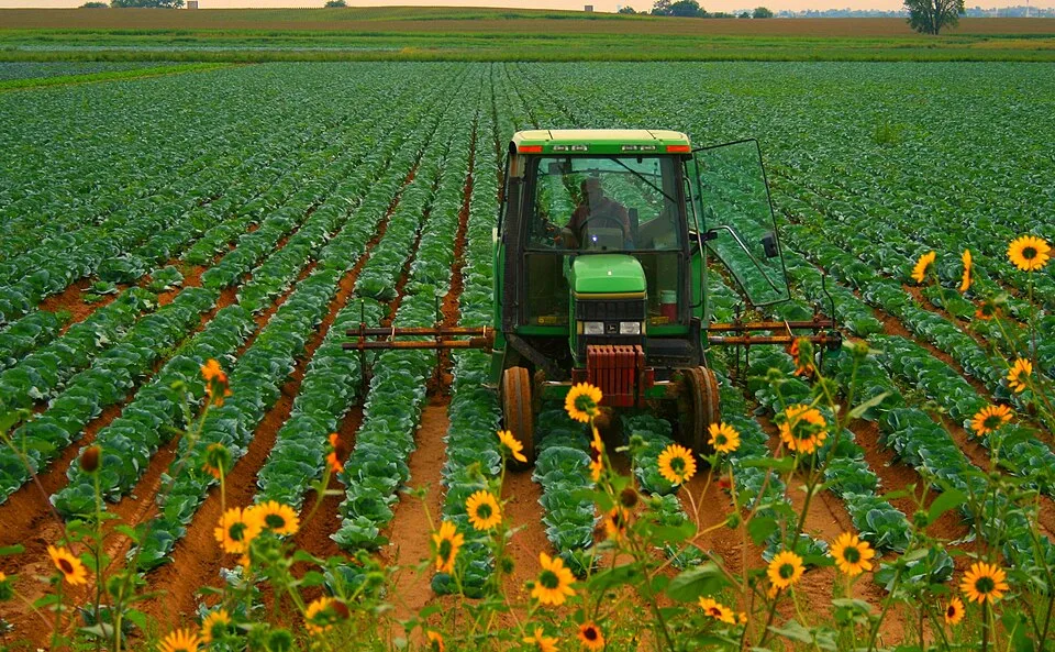 John Deere cria “ChatGPT do campo”: IA responde perguntas sobre máquinas e lavouras