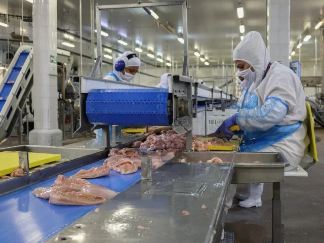 Embargo da UE a produtos animais afeta US$1,8 bi em vendas do Brasil, especialmente carnes