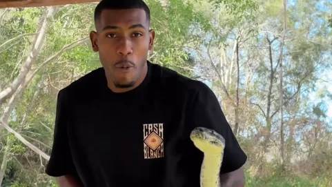 Rayan e Vitor Reis se assustam com cobra em visita a parque na Austrália