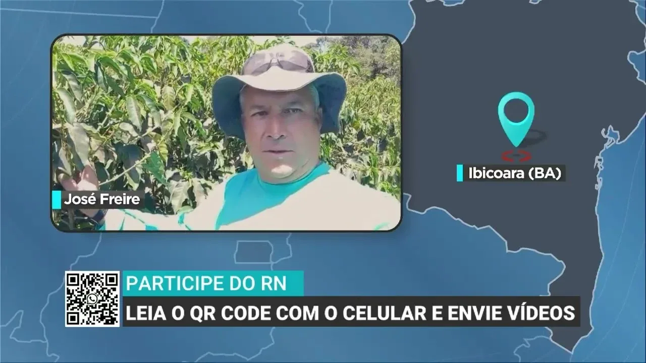 Chuva irregular e calor preocupam produtores de café na Bahia