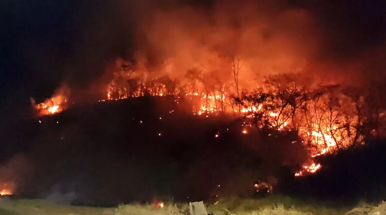 El Niño aumenta risco de incêndios e coloca quase 400 cidades em alerta; veja cuidados no campo