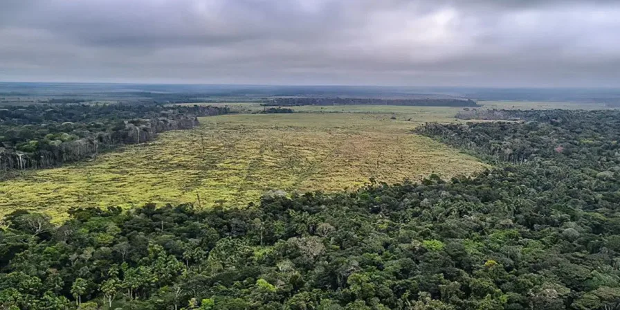 Devastação na Amazônia pode quebrar maior "máquina de chuva" do mundo